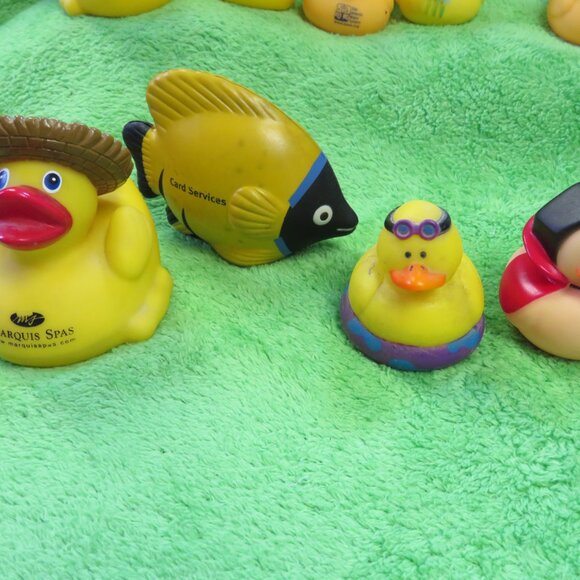 DUCKS In A BUCKET! - Picture 7 of 7